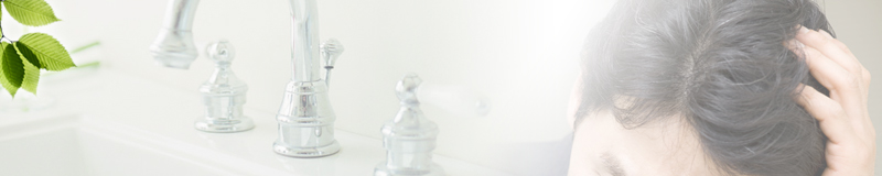 �V�g�������v�������ʌ��R�~���r���[| �Z�������Ń��e�������H